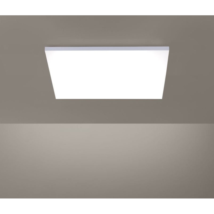 Paul Neuhaus 8492-16 - LED Dimmable surface-mounted panel FRAMELESS LED/35W/230V + remote control