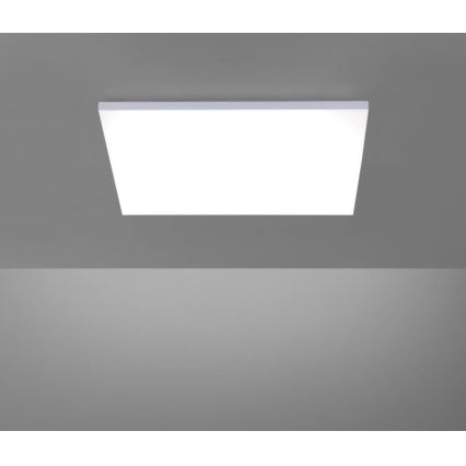 Paul Neuhaus 8492-16 - LED Dimmable surface-mounted panel FRAMELESS LED/35W/230V + remote control