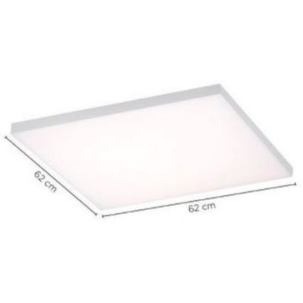 Paul Neuhaus 8492-16 - LED Dimmable surface-mounted panel FRAMELESS LED/35W/230V + remote control