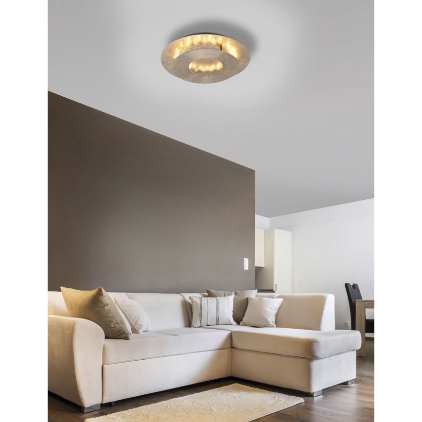 Paul Neuhaus 9011-12 - LED Ceiling light NEVIS LED/6W/230V gold