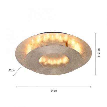 Paul Neuhaus 9011-12 - LED Ceiling light NEVIS LED/6W/230V gold