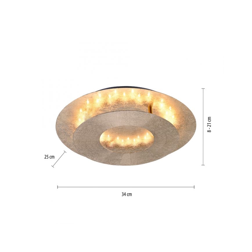 Paul Neuhaus 9011-12 - LED Ceiling light NEVIS LED/6W/230V gold