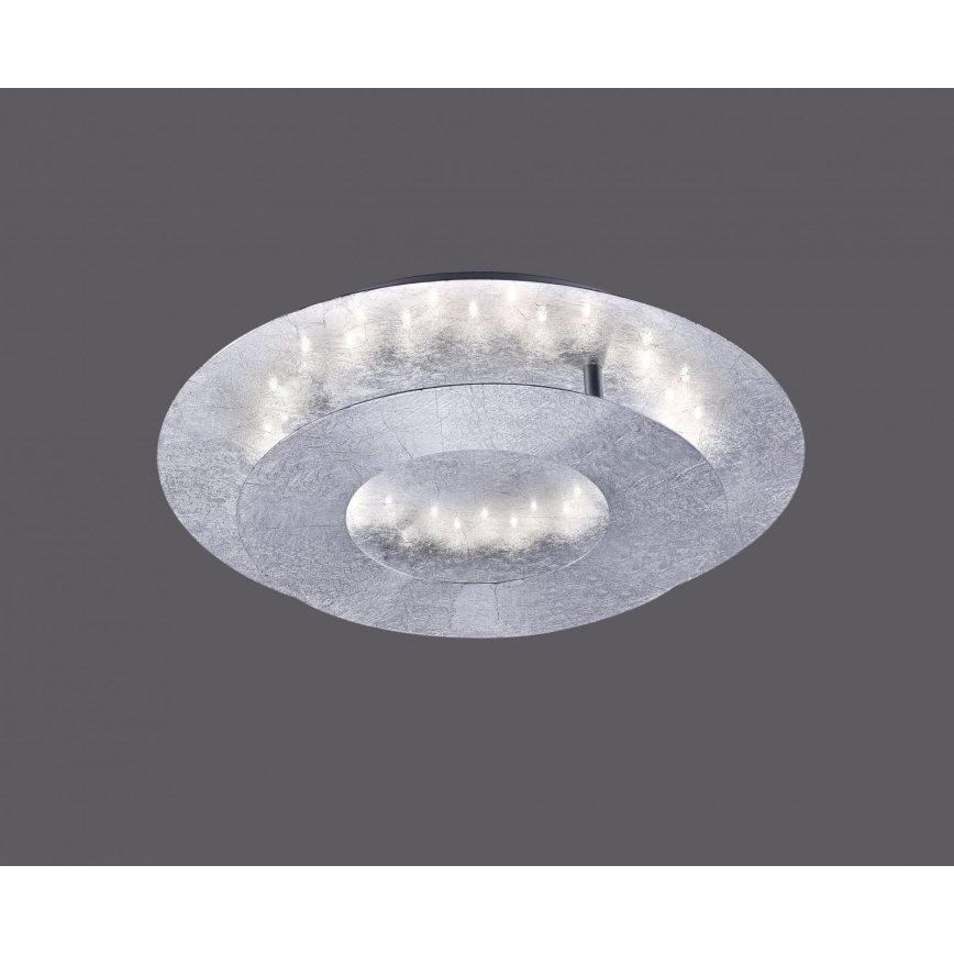Paul Neuhaus 9011-21 - LED Ceiling light NEVIS LED/6W/230V silver