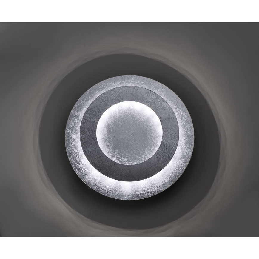 Paul Neuhaus 9011-21 - LED Ceiling light NEVIS LED/6W/230V silver