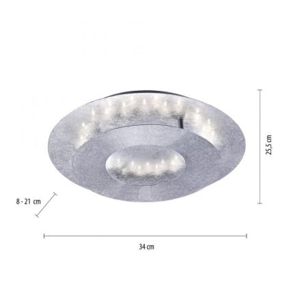 Paul Neuhaus 9011-21 - LED Ceiling light NEVIS LED/6W/230V silver