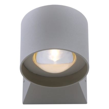 Paul Neuhaus 9441-21 - LED Outdoor wall light TIMO 2xLED/2W/230V IP54