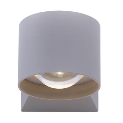 Paul Neuhaus 9441-21 - LED Outdoor wall light TIMO 2xLED/2W/230V IP54