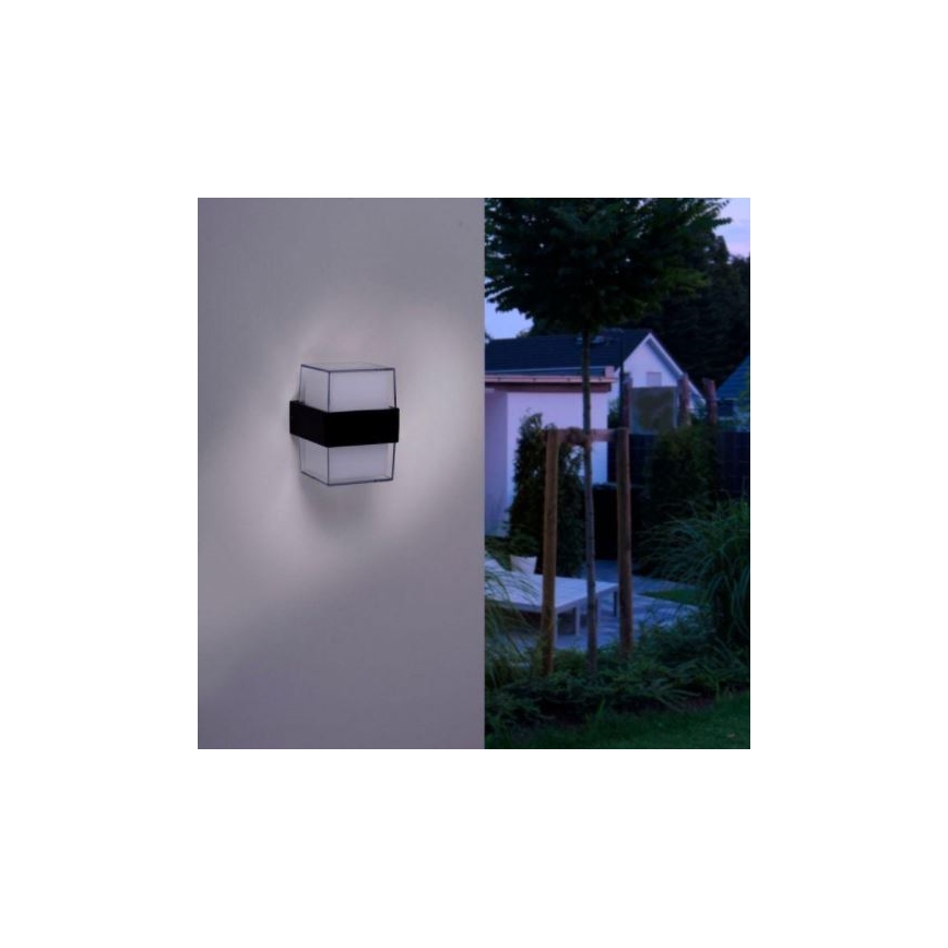 Paul Neuhaus 9480-13 - LED Outdoor wall light CARA LED/8W/230V IP44