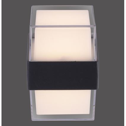 Paul Neuhaus 9480-13 - LED Outdoor wall light CARA LED/8W/230V IP44