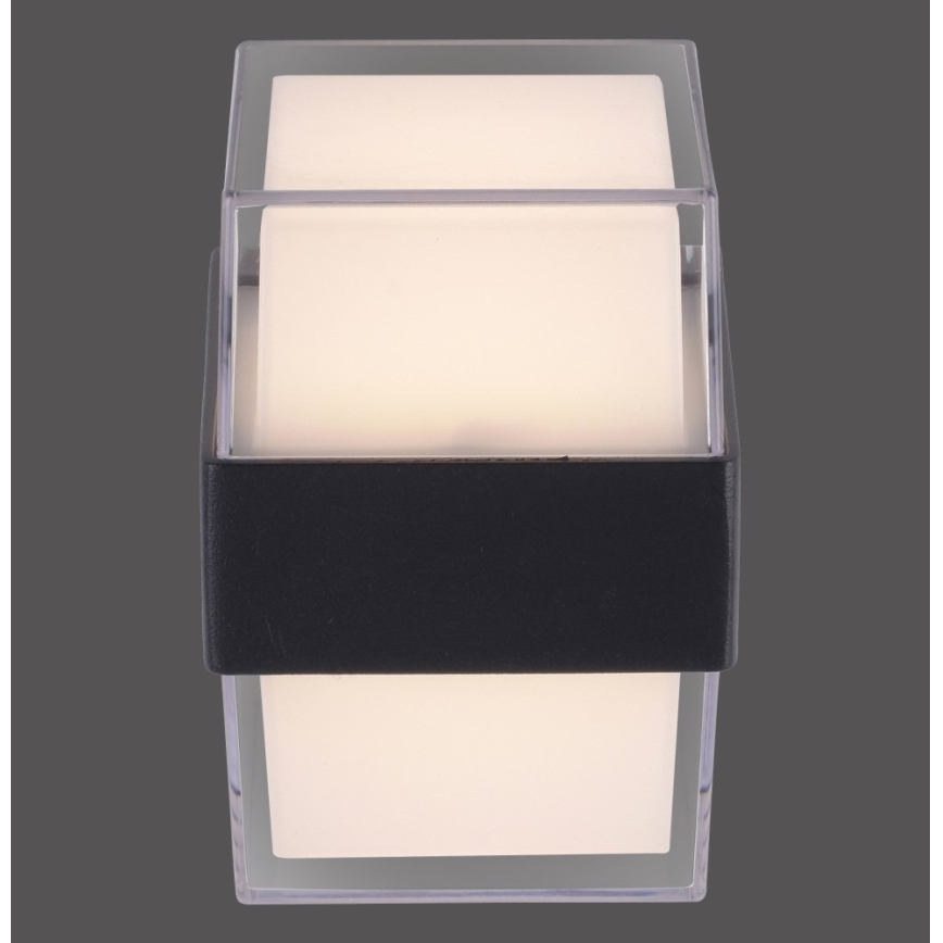 Paul Neuhaus 9480-13 - LED Outdoor wall light CARA LED/8W/230V IP44