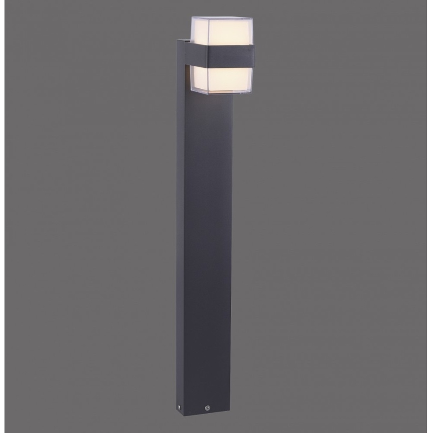 Paul Neuhaus 9481-13 - LED Outdoor lamp CARA LED/8W/230V IP44