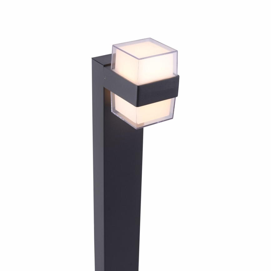 Paul Neuhaus 9481-13 - LED Outdoor lamp CARA LED/8W/230V IP44