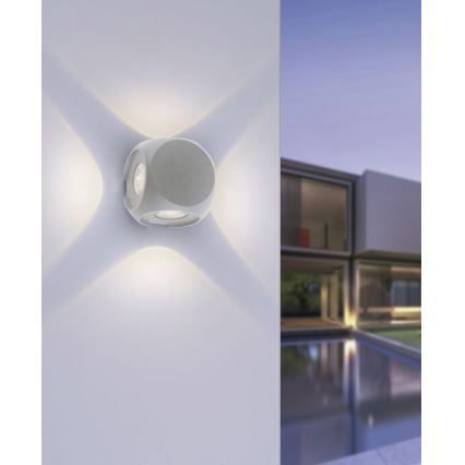 Paul Neuhaus 9485-21 - LED Outdoor wall light CARLO 4xLED/0,8W/230V IP54