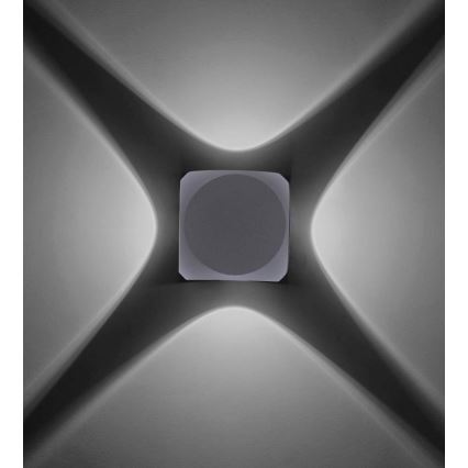 Paul Neuhaus 9485-21 - LED Outdoor wall light CARLO 4xLED/0,8W/230V IP54