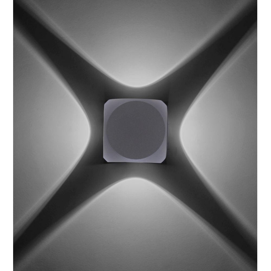 Paul Neuhaus 9485-21 - LED Outdoor wall light CARLO 4xLED/0,8W/230V IP54