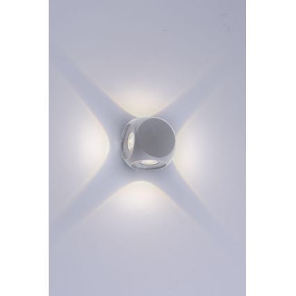Paul Neuhaus 9485-21 - LED Outdoor wall light CARLO 4xLED/0,8W/230V IP54
