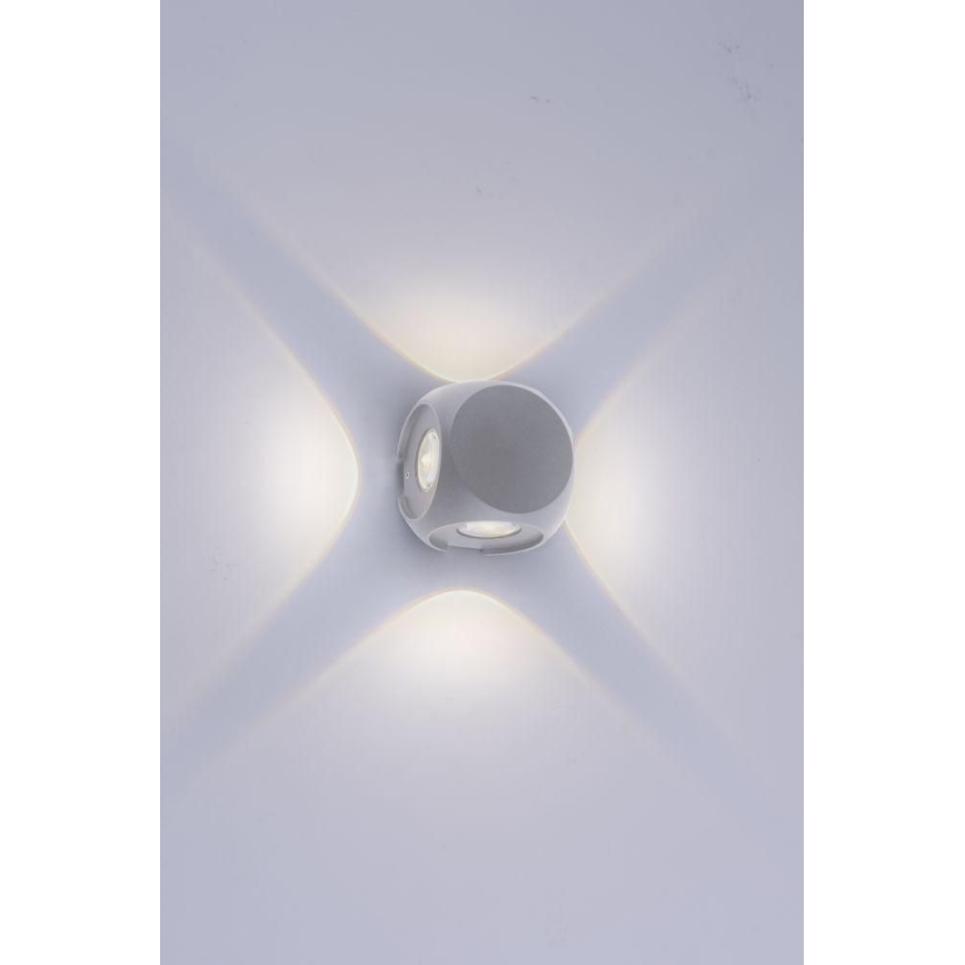 Paul Neuhaus 9485-21 - LED Outdoor wall light CARLO 4xLED/0,8W/230V IP54