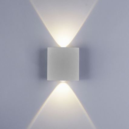 Paul Neuhaus 9486-21 - LED Outdoor wall light CARLO 2xLED/1,7W/230V IP54