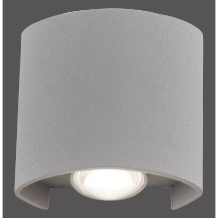 Paul Neuhaus 9486-21 - LED Outdoor wall light CARLO 2xLED/1,7W/230V IP54
