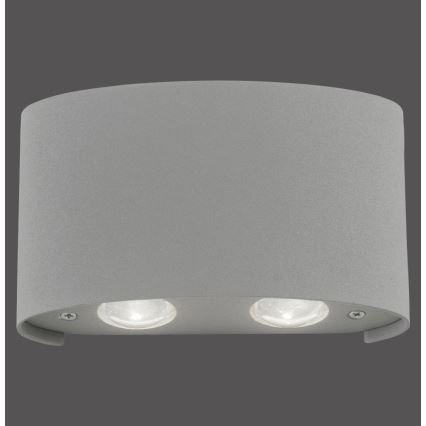 Paul Neuhaus 9487-21 - LED Outdoor wall light CARLO 4xLED/0,8W/230V IP54