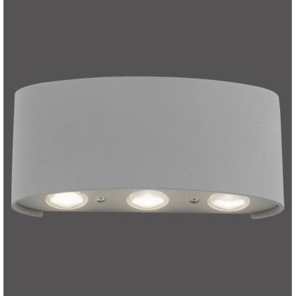 Paul Neuhaus 9488-21 - LED Outdoor wall light CARLO 6xLED/0,8W/230V IP54