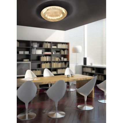 Paul Neuhaus 9621-12 - LED Ceiling light NEVIS LED/24W/230V