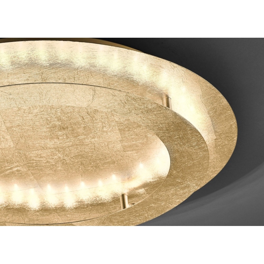 Paul Neuhaus 9621-12 - LED Ceiling light NEVIS LED/24W/230V