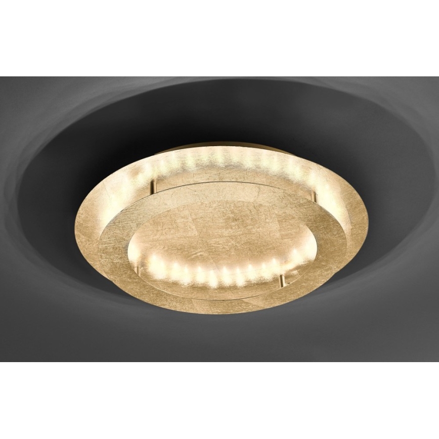 Paul Neuhaus 9621-12 - LED Ceiling light NEVIS LED/24W/230V