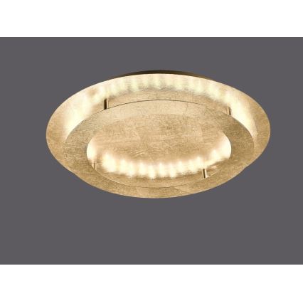Paul Neuhaus 9621-12 - LED Ceiling light NEVIS LED/24W/230V
