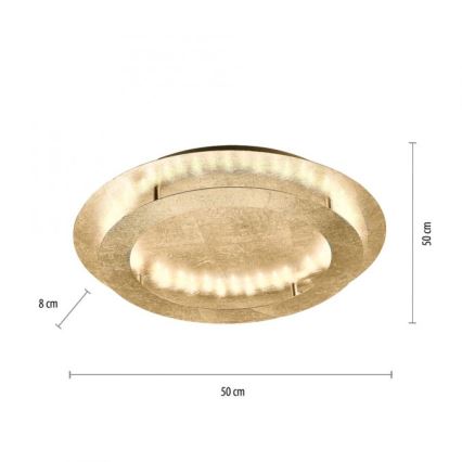 Paul Neuhaus 9621-12 - LED Ceiling light NEVIS LED/24W/230V