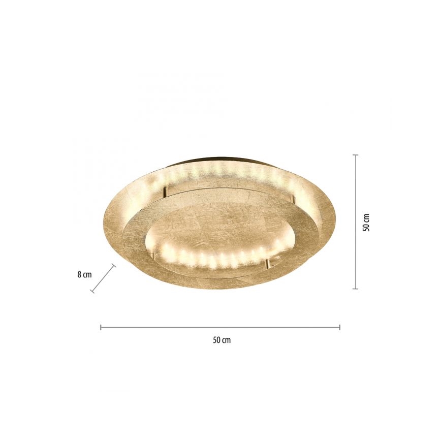 Paul Neuhaus 9621-12 - LED Ceiling light NEVIS LED/24W/230V
