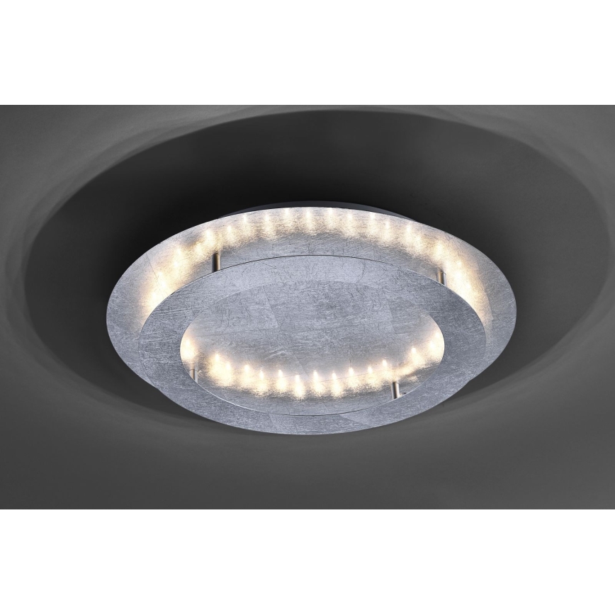Paul Neuhaus 9621-21 - LED Ceiling light NEVIS LED/24W/230V
