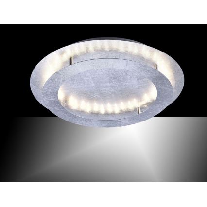 Paul Neuhaus 9621-21 - LED Ceiling light NEVIS LED/24W/230V