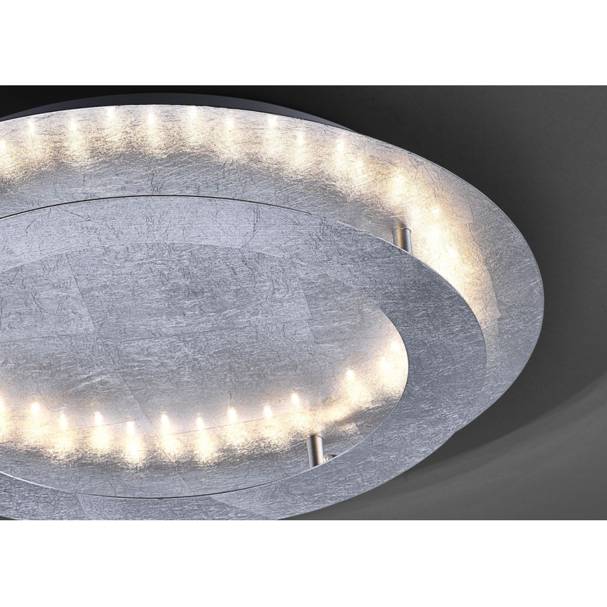 Paul Neuhaus 9621-21 - LED Ceiling light NEVIS LED/24W/230V