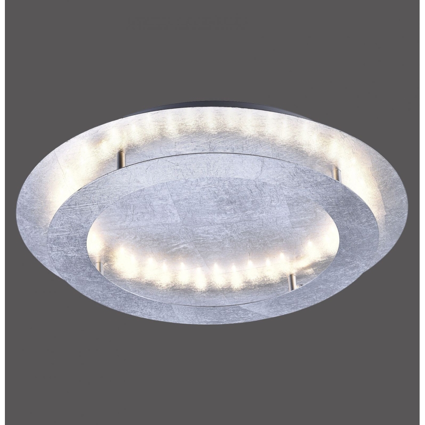 Paul Neuhaus 9621-21 - LED Ceiling light NEVIS LED/24W/230V