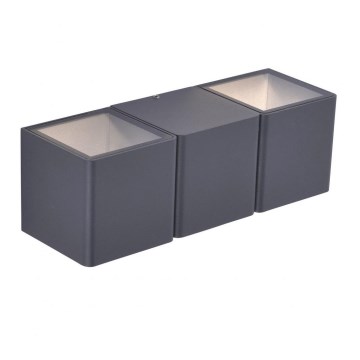 Paul Neuhaus 9658-13 - LED Outdoor wall light MARCEL 2xLED/4W/230V IP54