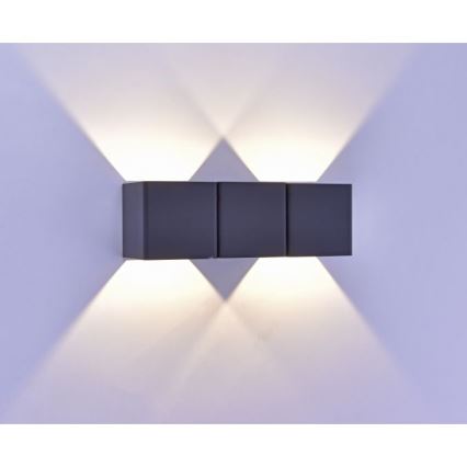 Paul Neuhaus 9658-13 - LED Outdoor wall light MARCEL 2xLED/4W/230V IP54