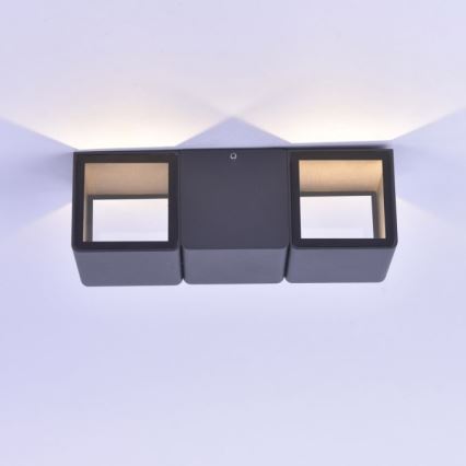 Paul Neuhaus 9658-13 - LED Outdoor wall light MARCEL 2xLED/4W/230V IP54