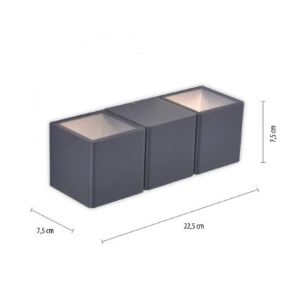 Paul Neuhaus 9658-13 - LED Outdoor wall light MARCEL 2xLED/4W/230V IP54