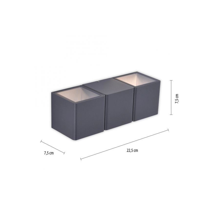 Paul Neuhaus 9658-13 - LED Outdoor wall light MARCEL 2xLED/4W/230V IP54