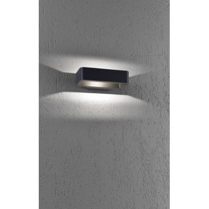 Paul Neuhaus 9668-13 - LED Outdoor wall light HENDRIK LED/5,2W/230V IP54