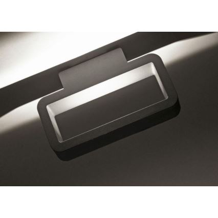 Paul Neuhaus 9668-13 - LED Outdoor wall light HENDRIK LED/5,2W/230V IP54