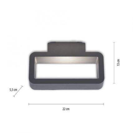 Paul Neuhaus 9668-13 - LED Outdoor wall light HENDRIK LED/5,2W/230V IP54