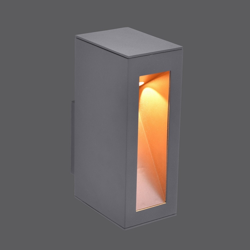 Paul Neuhaus 9693-13 - LED Outdoor wall light JUSTIN LED/7W/230V IP44