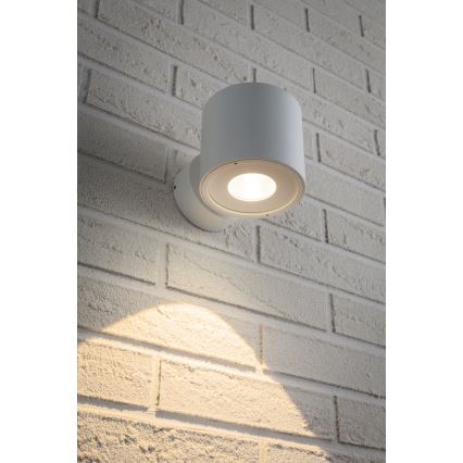 Paulmann 18007 - LED/5W IP44 Outdoor wall light  FLAME 230V
