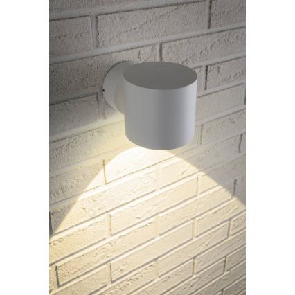 Paulmann 18007 - LED/5W IP44 Outdoor wall light  FLAME 230V