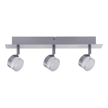 Paulmann 60379 - LED Spotlight ELSEN 3xLED/4,3W/230V