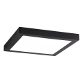 Paulmann 70984 - LED/22W Ceiling light ABIA 230V