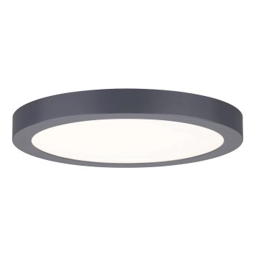 Paulmann 70988 - LED/22W Ceiling light ABIA 230V anthracite