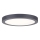 Paulmann 70988 - LED/22W Ceiling light ABIA 230V anthracite